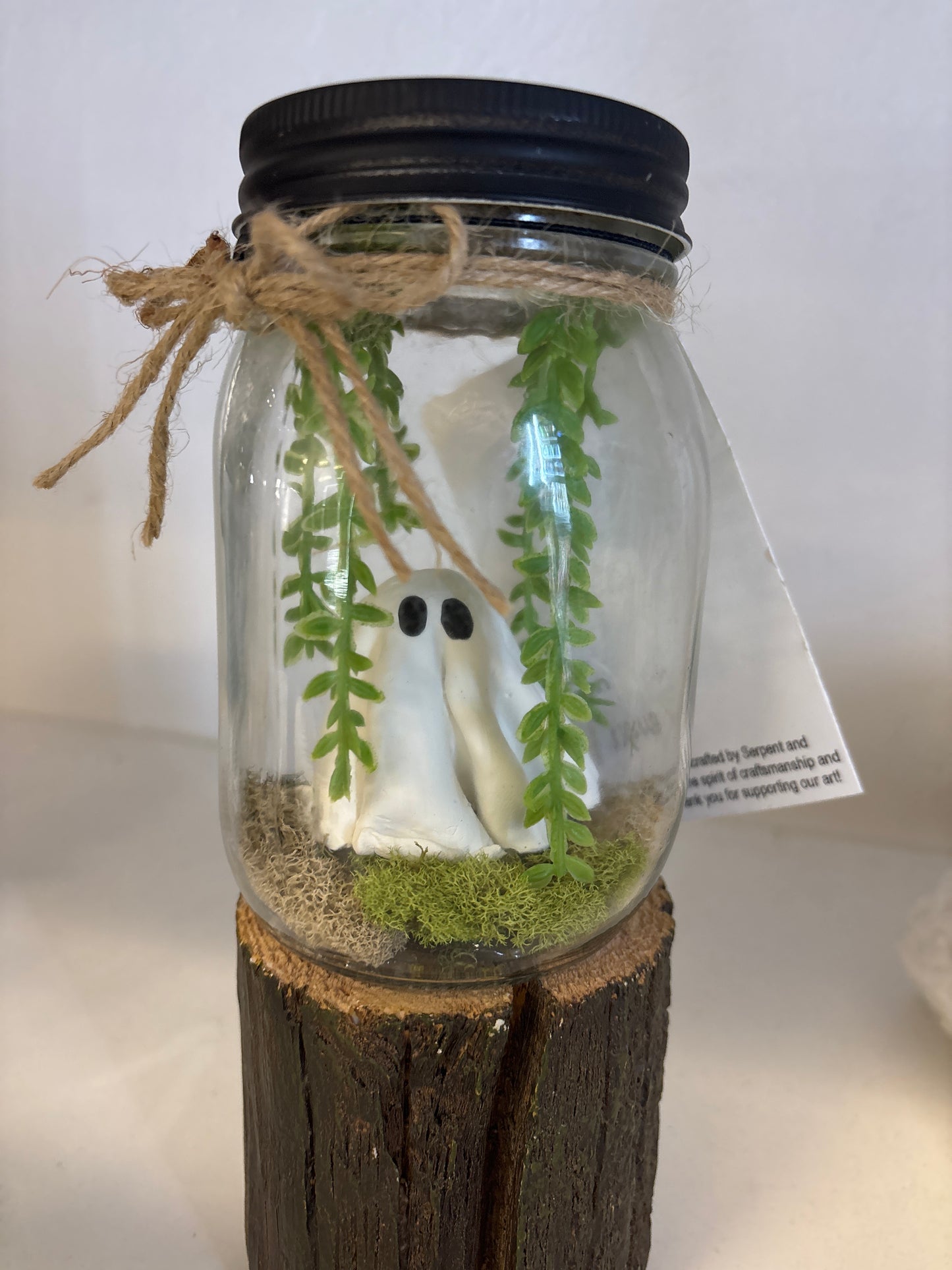 Adopt a ghost