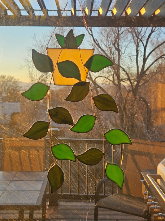Hanging pot with green leaf vines