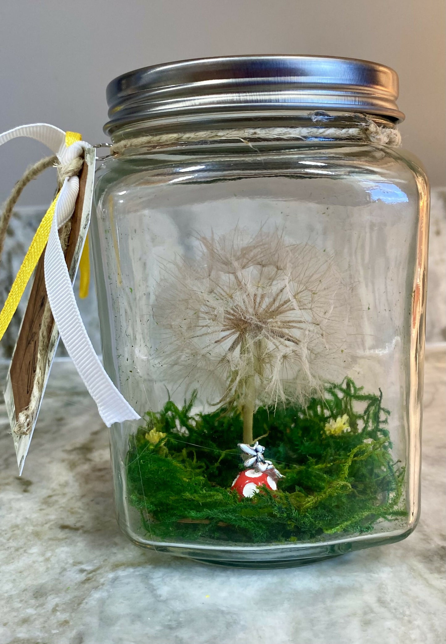 Dandelion wishes