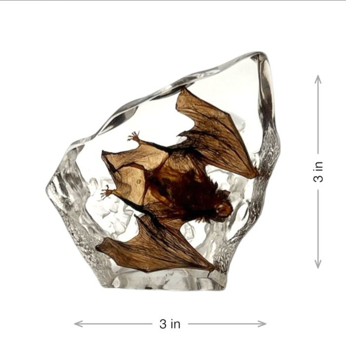 Bat