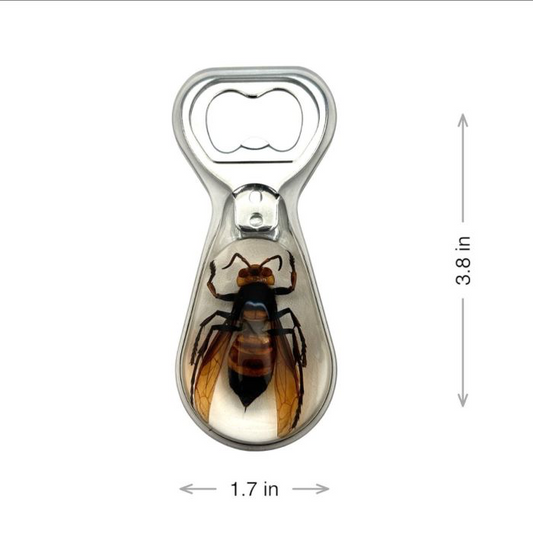 Wasp bottle opener