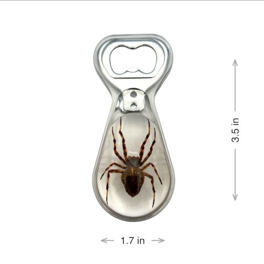 Spider bottle opener