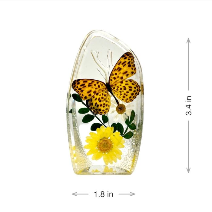 Banded leopard cat butterfly decor
