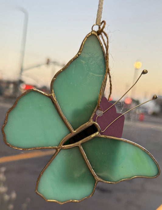 Butterfly