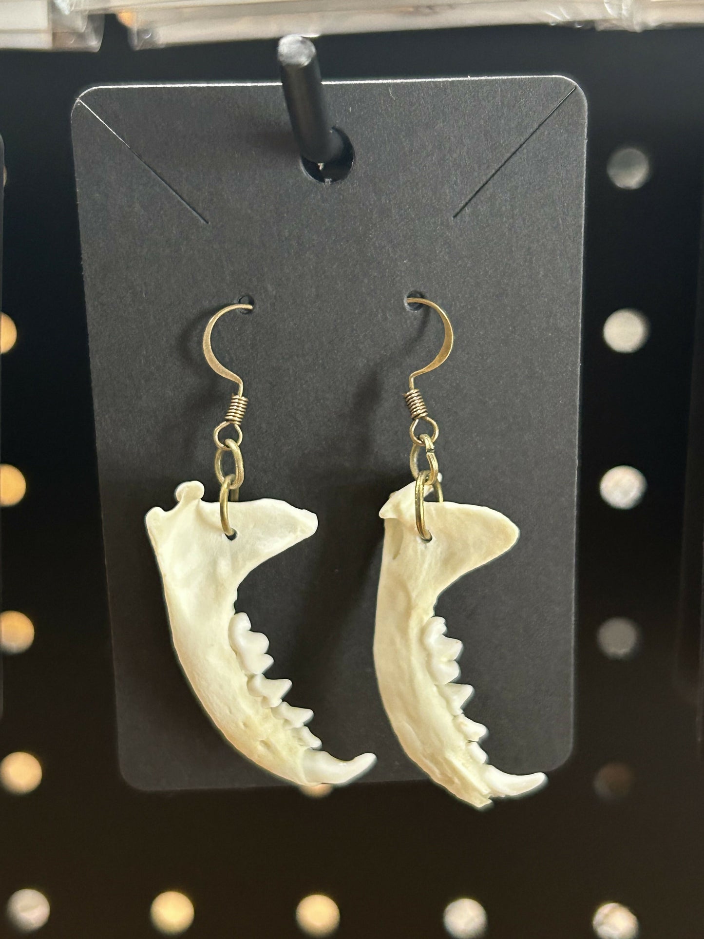 Real jawbone earrings