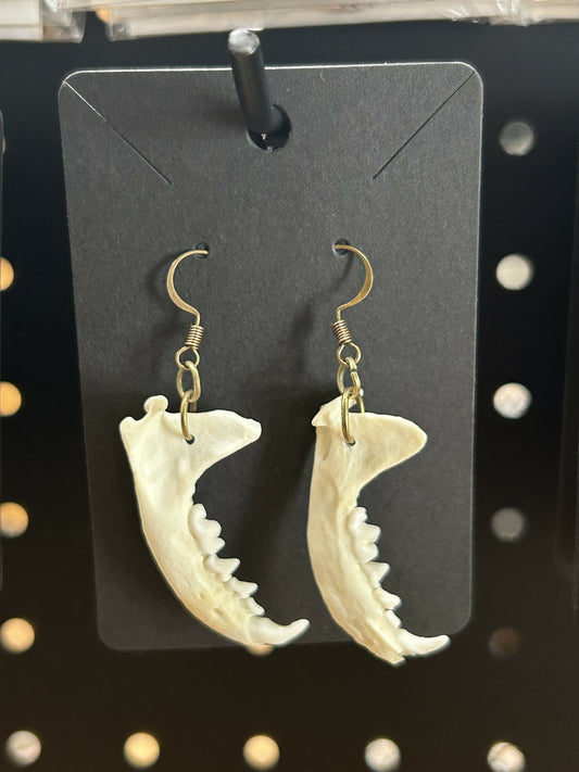 Real jawbone earrings