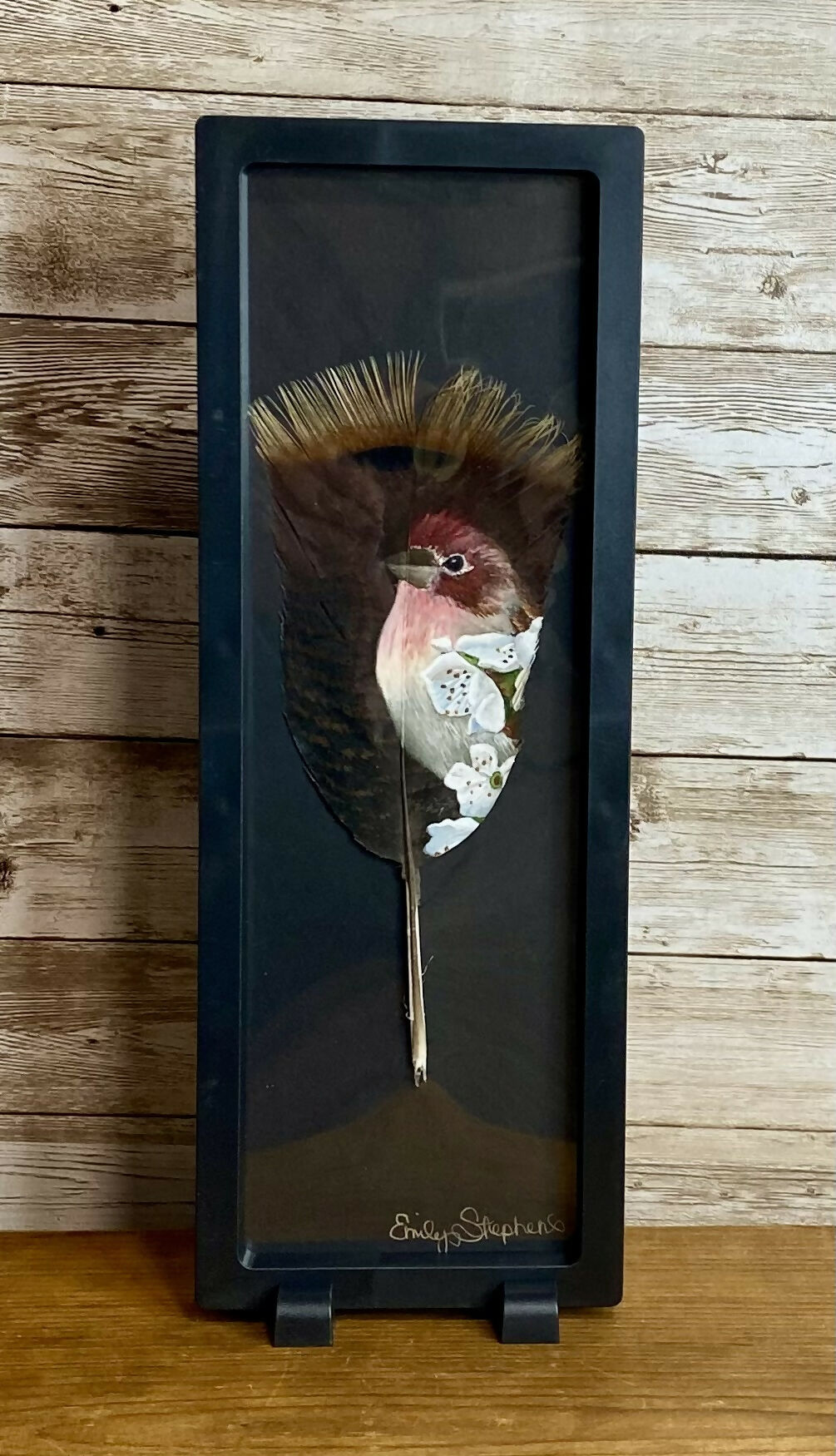 Hand painted feathers
