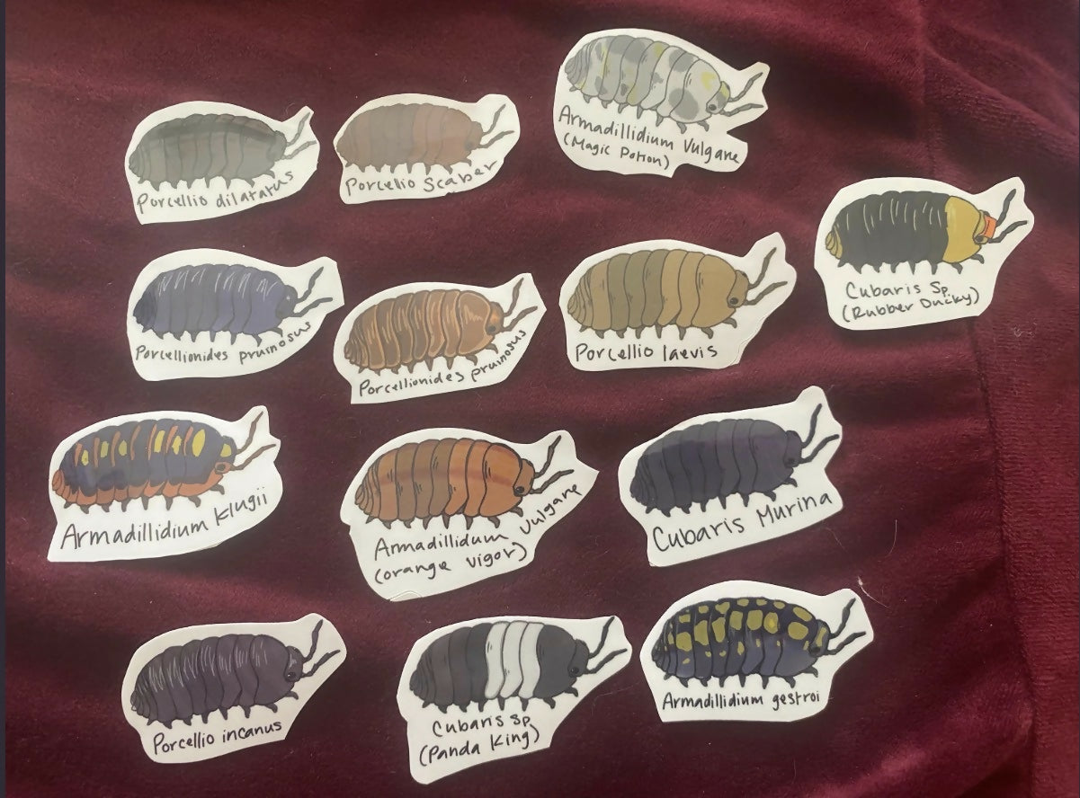 Isopod Labels