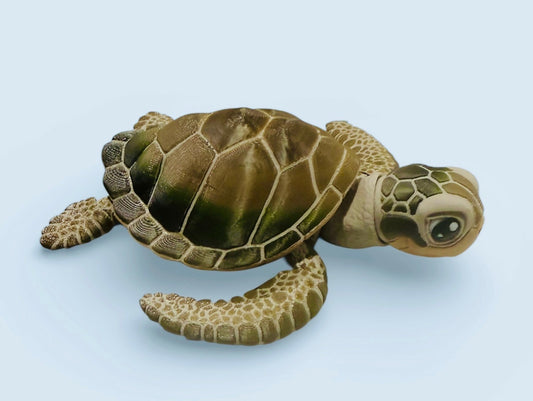 Sea Turtle