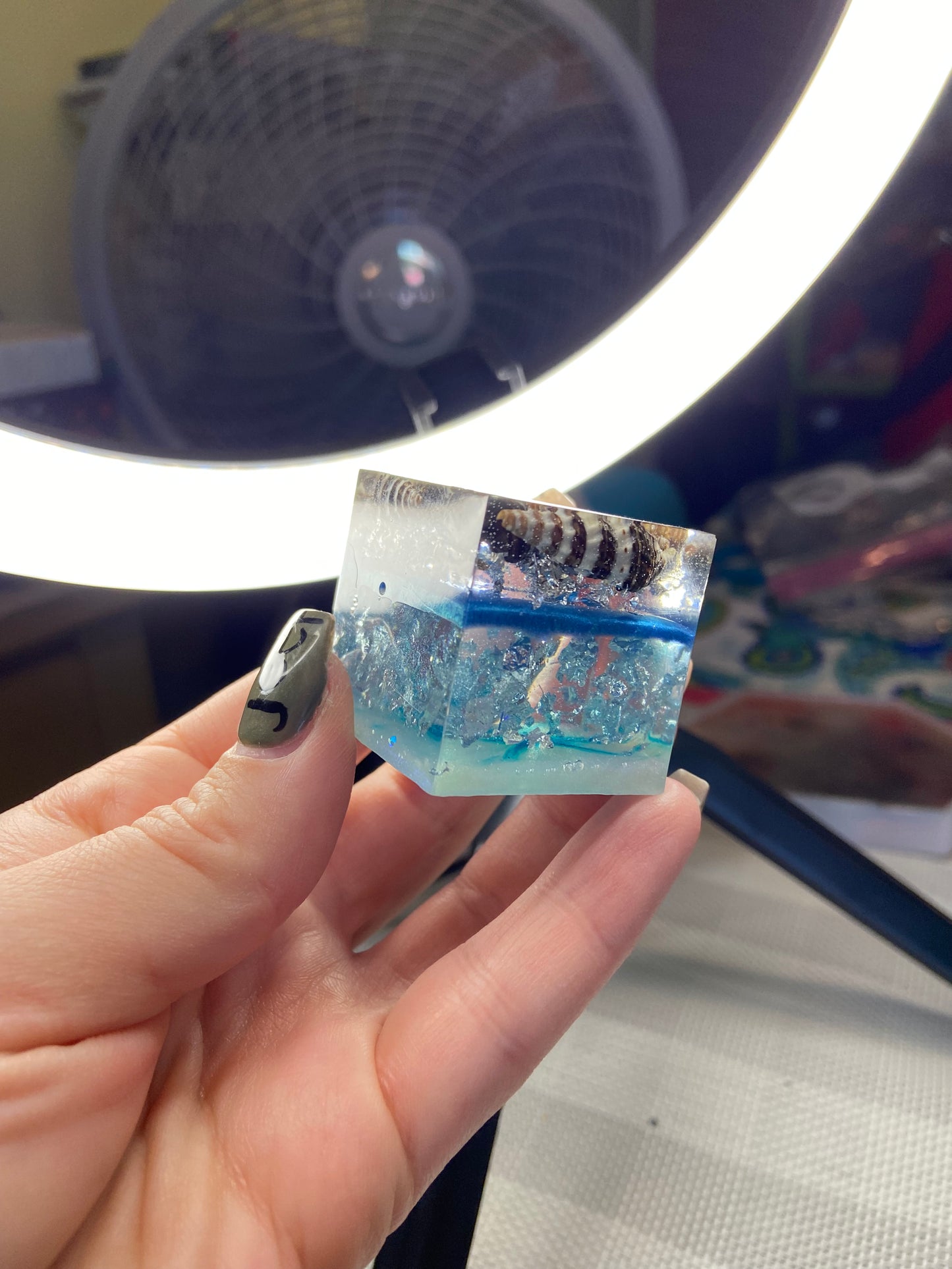 Seashell resin cube
