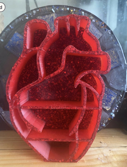 Anatomical Heart Shelf