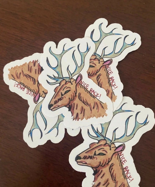 Nice Rack
