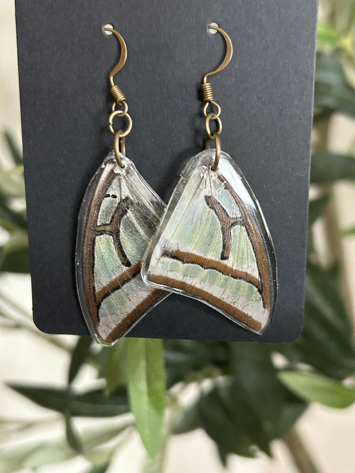 Butterfly Wing Earrings