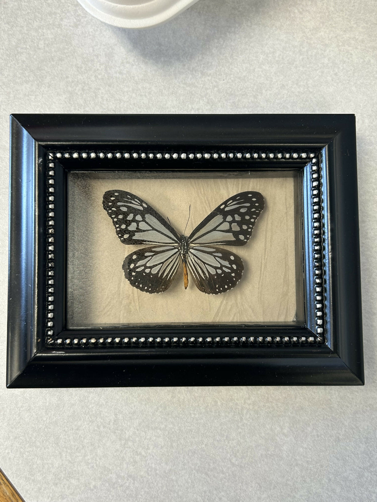 Framed Butterfly Art