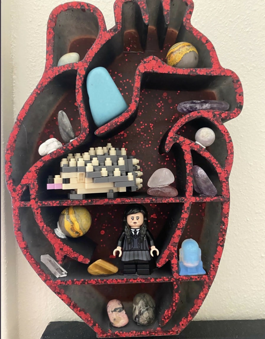Anatomical Heart Shelf