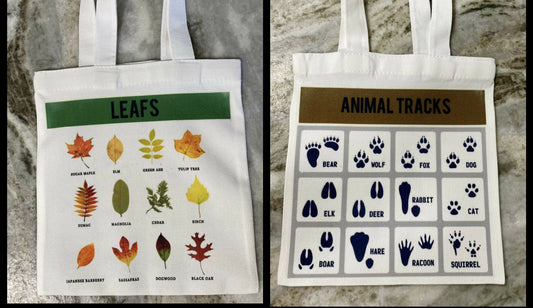 Nature scavenger hunt kit