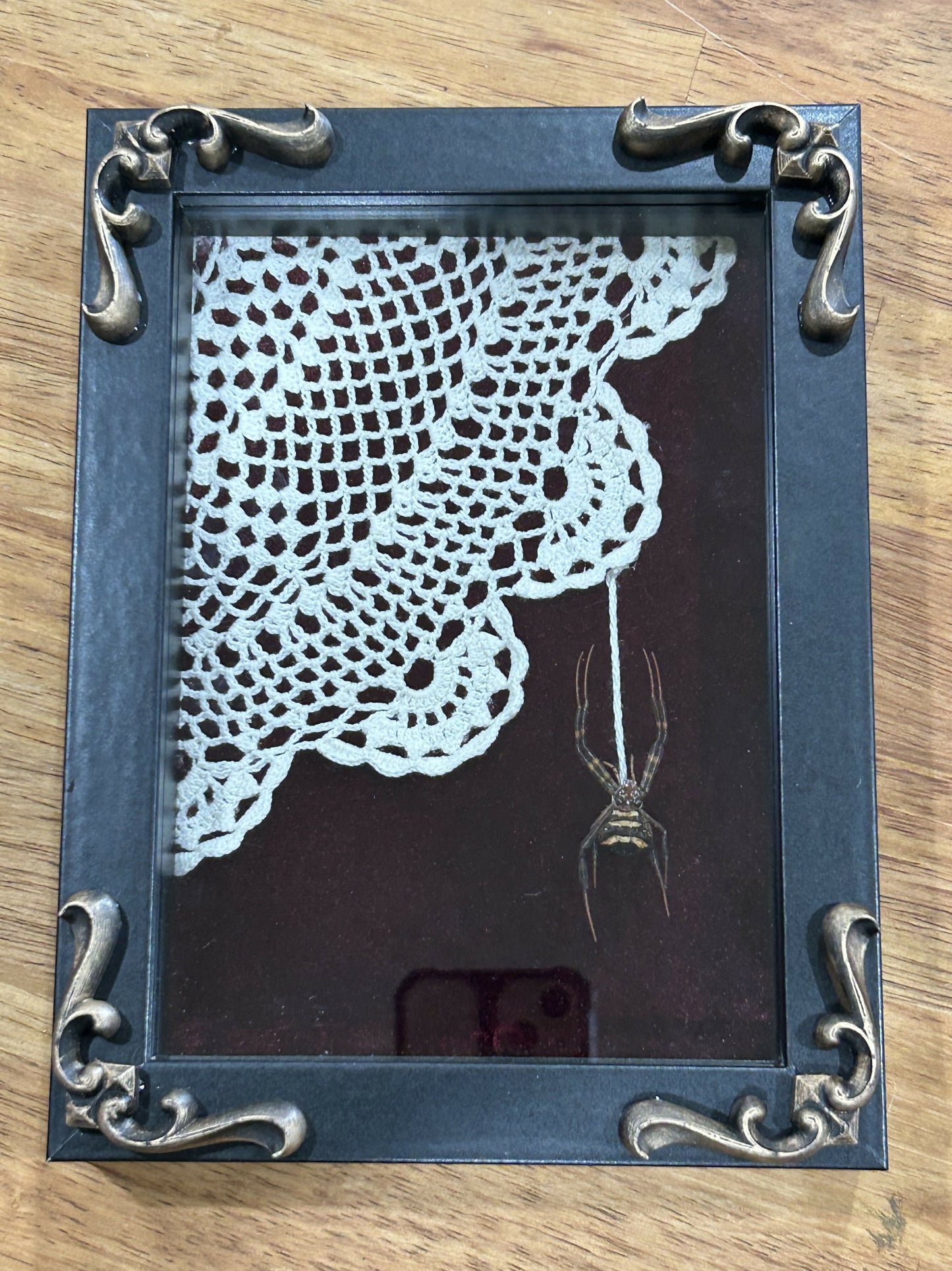 Striped spider framed