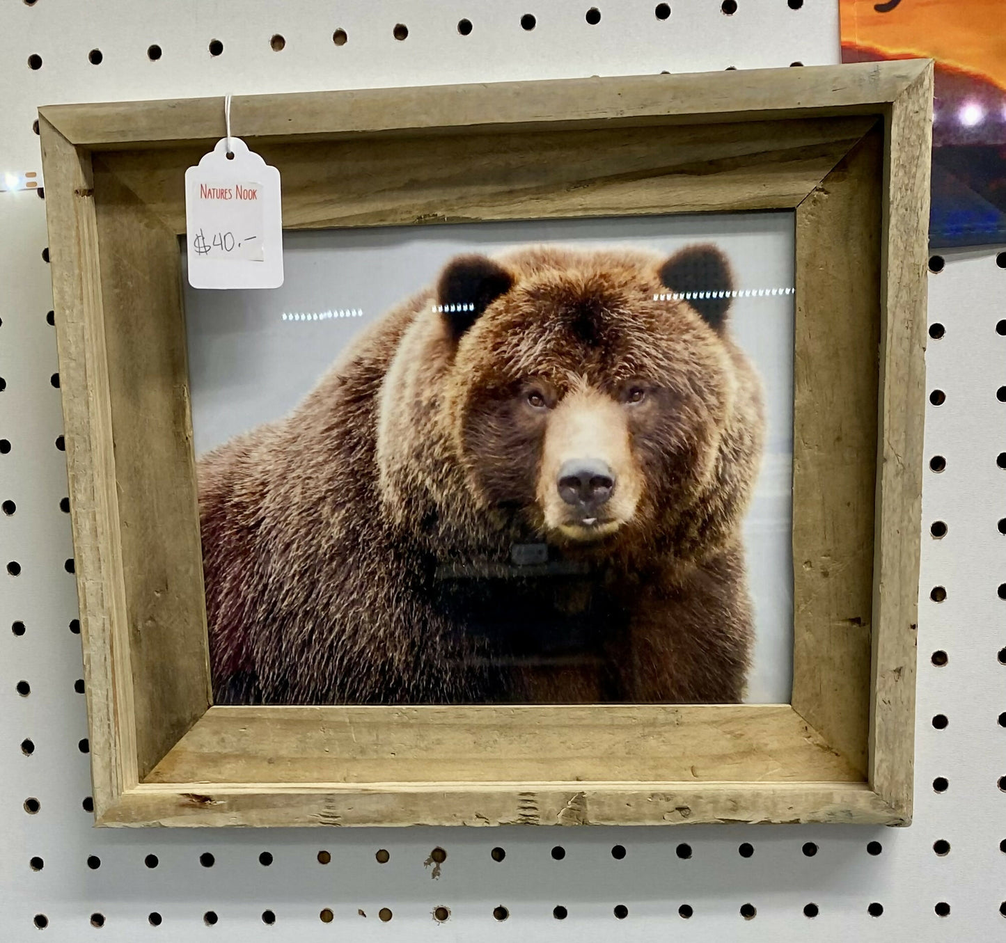 Photography on items