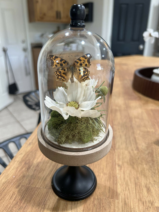 Butterfly Oddities Cloche