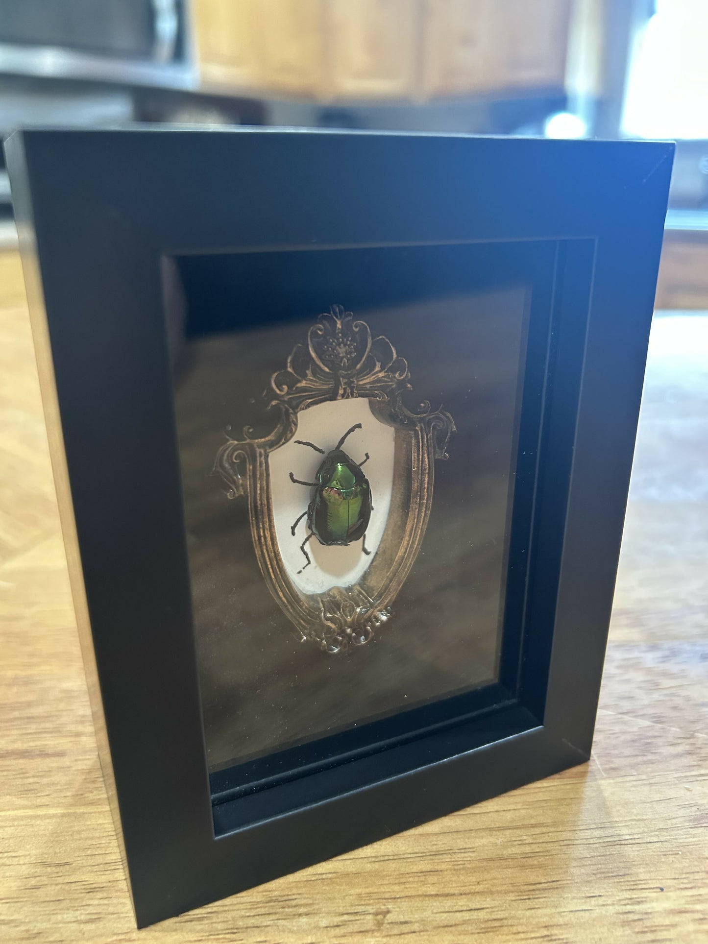 Beetle, framed