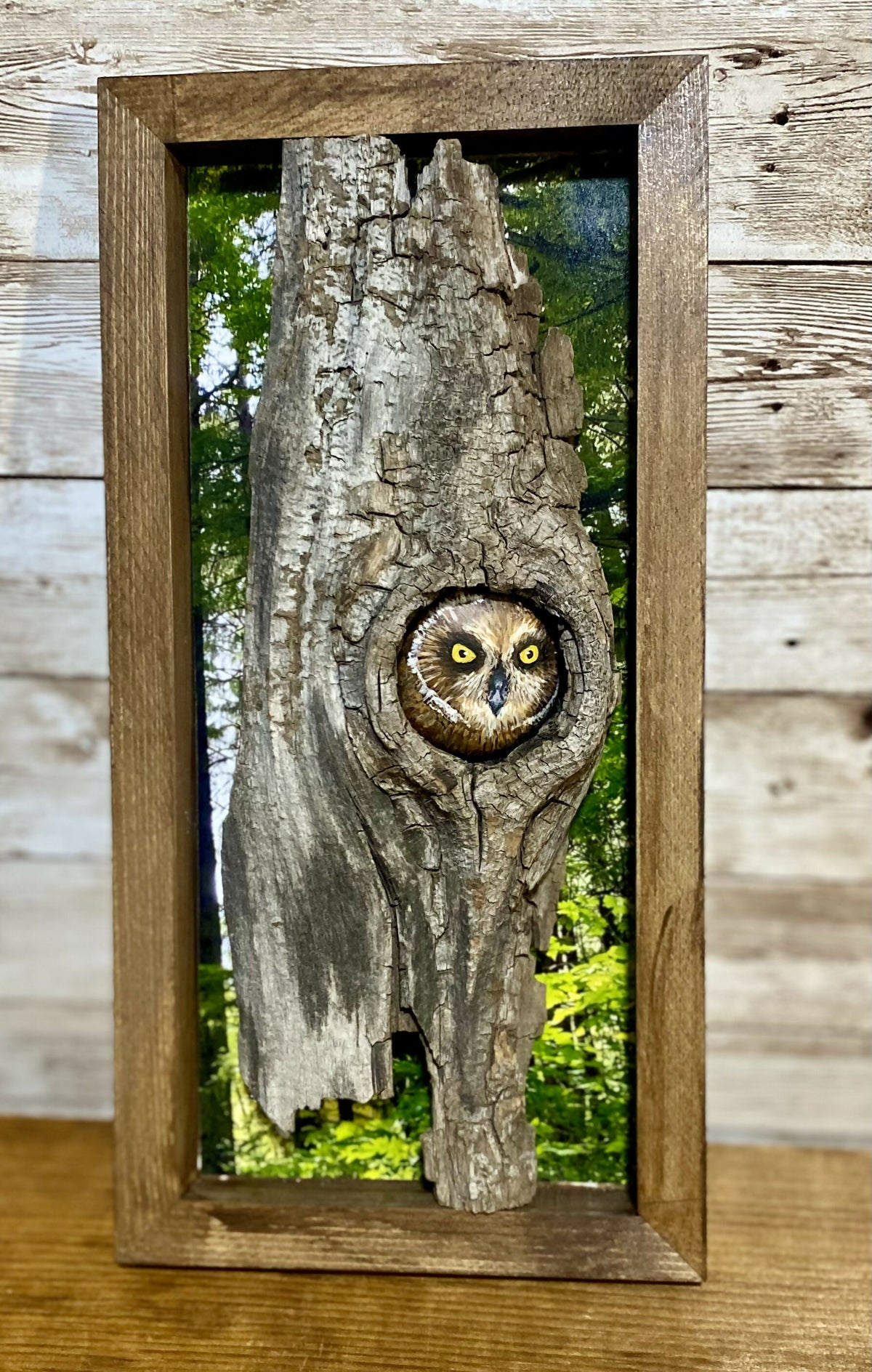 Owl in tree