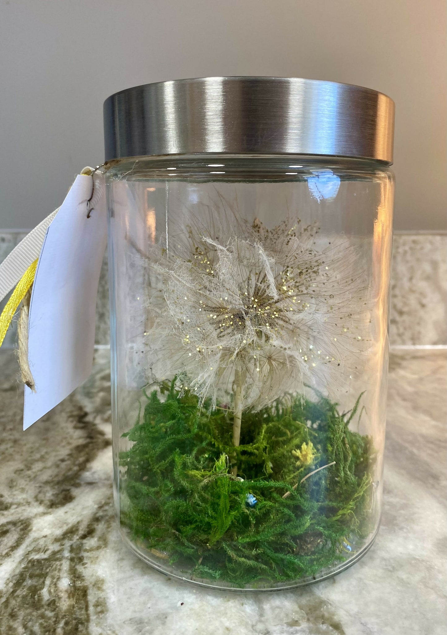 Dandelion wishes