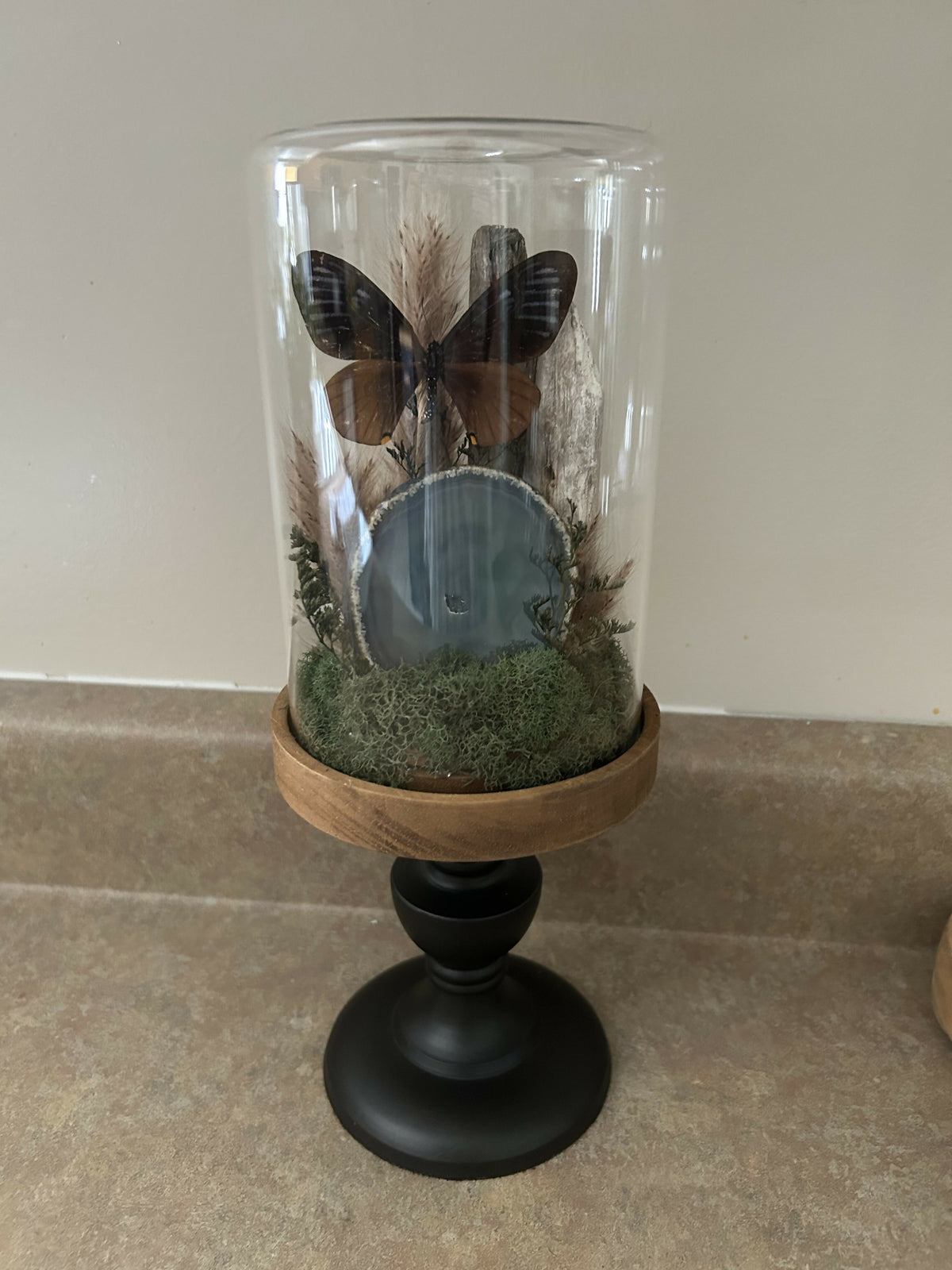 Cloche with Butterfly and Agate Slice