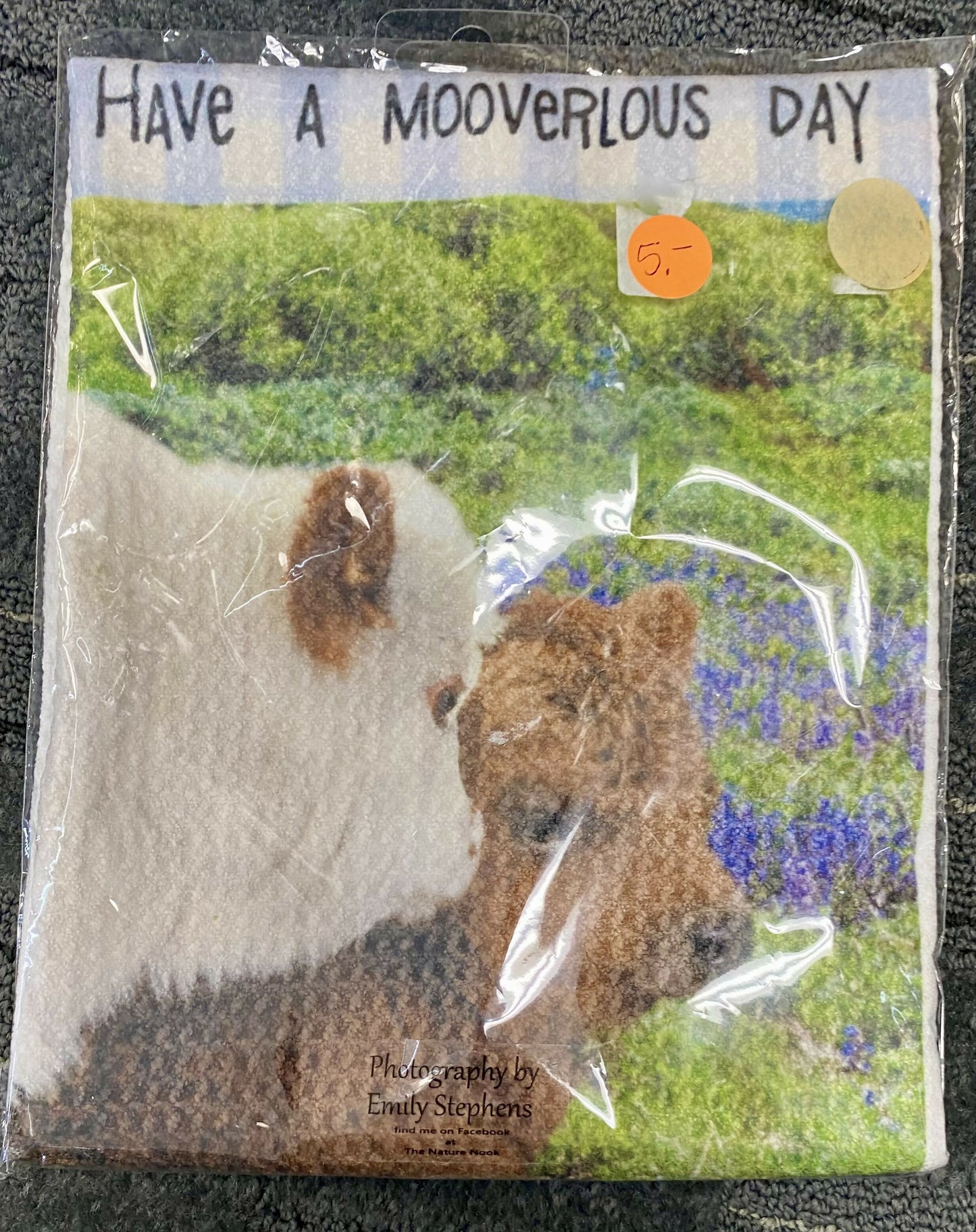 Discounted and clearance