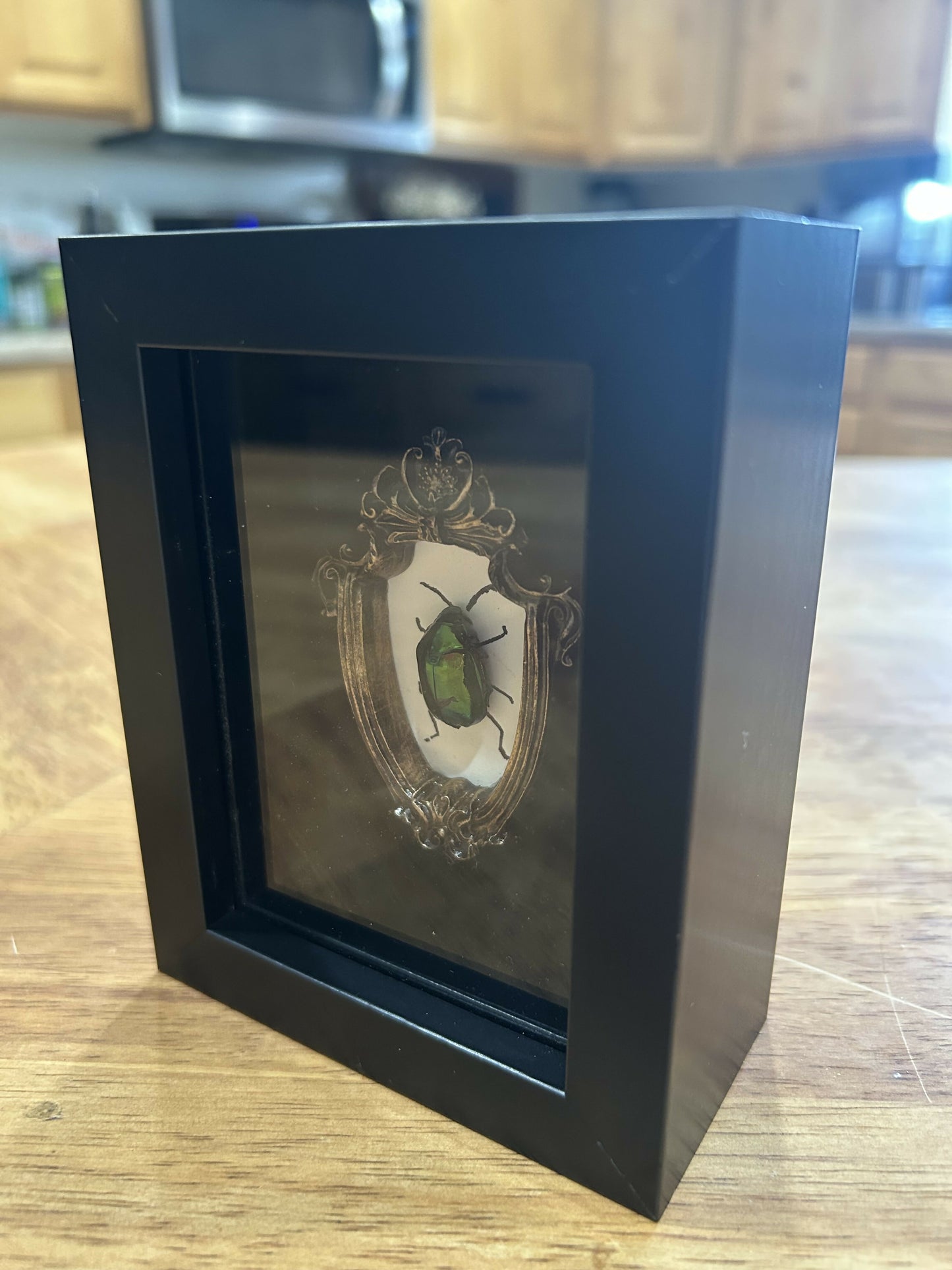 Beetle, framed