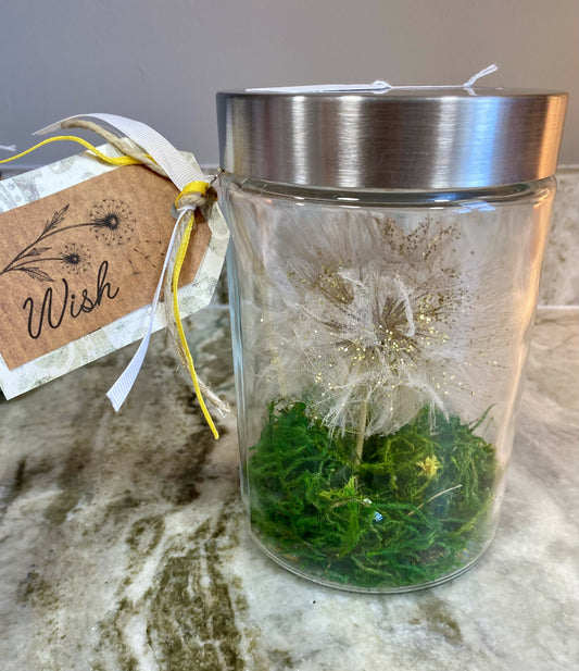 Dandelion wishes