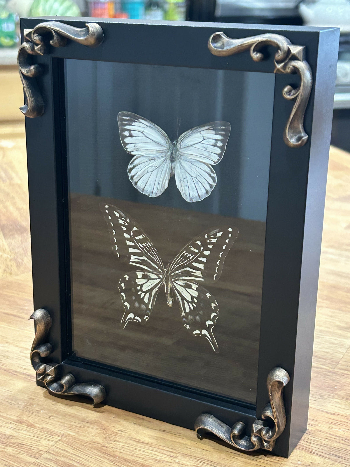 Two butterflies framed